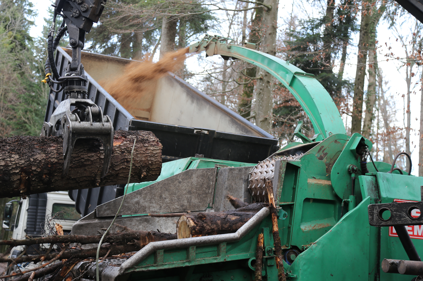 Die Schweizer Wälder bieten genügend Holz, um rund 15 Prozent des gesamten hiesigen Wärmeenergieverbrauchs erneuerbar zu decken.   © Copyright Holzenergie Schweiz| Digitale Medienmappe «Neue nationale Klimaprämie für den Ersatz von Öl- und Gasheizungen mit Holzheizungen», Energie Zukunft Schweiz AG